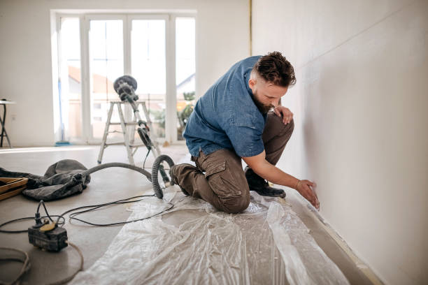 Best Drywall Sanding and Smoothing  in Holland, OH