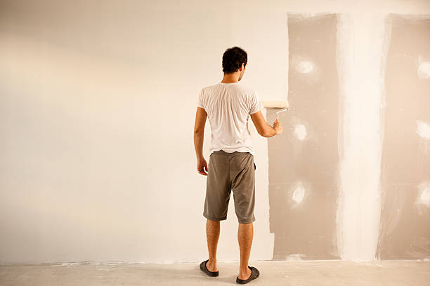 Best Wallpaper Removal and Painting  in Holland, OH